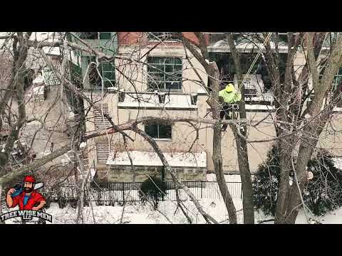 Tight Quarters Climb — Madison Tree Removal