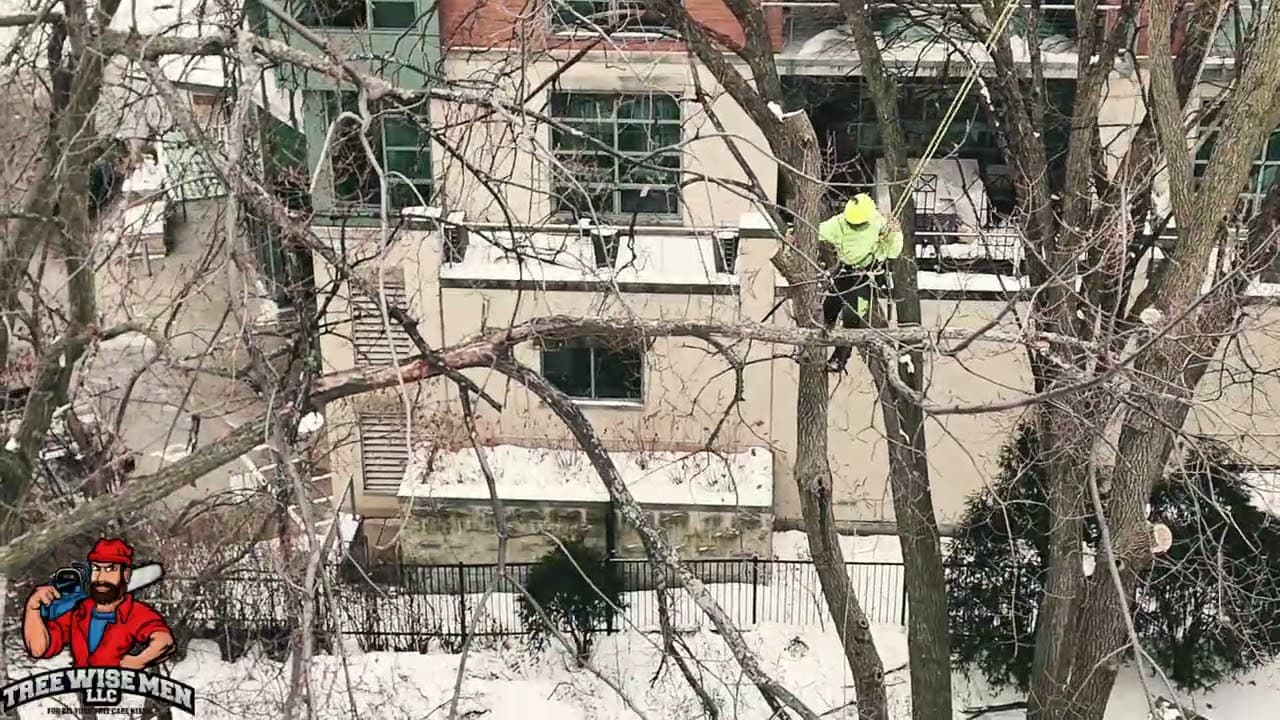Tight Quarters Climb — Madison Tree Removal