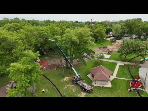 Tree Removal in Stoughton, WI — Tree Wise Men LLC