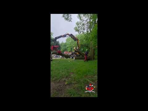 Crane-Assisted Storm Damage Removal — Tree Wise Men LLC