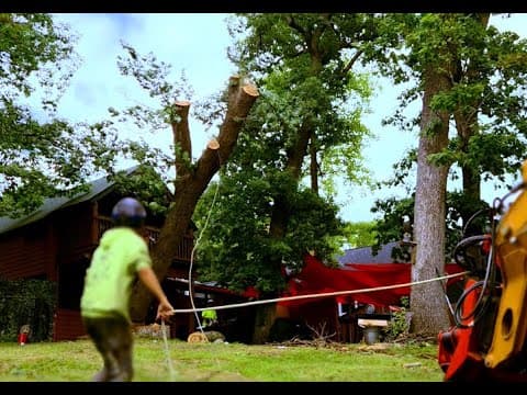 Tight-Space Tree Removal — Tree Wise Men in Action