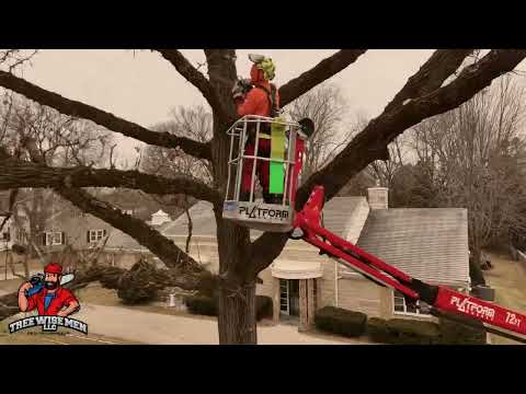 Windy Day Tree Trimming — Spider Lift and Power Drop