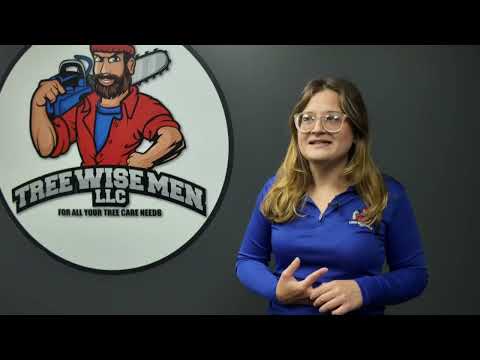 Employee Spotlight — Adrianna, Tree Wise Men LLC