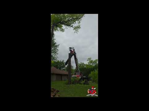 Grapple Saw Totem Cut — Hazardous Tree Removal Time-Lapse