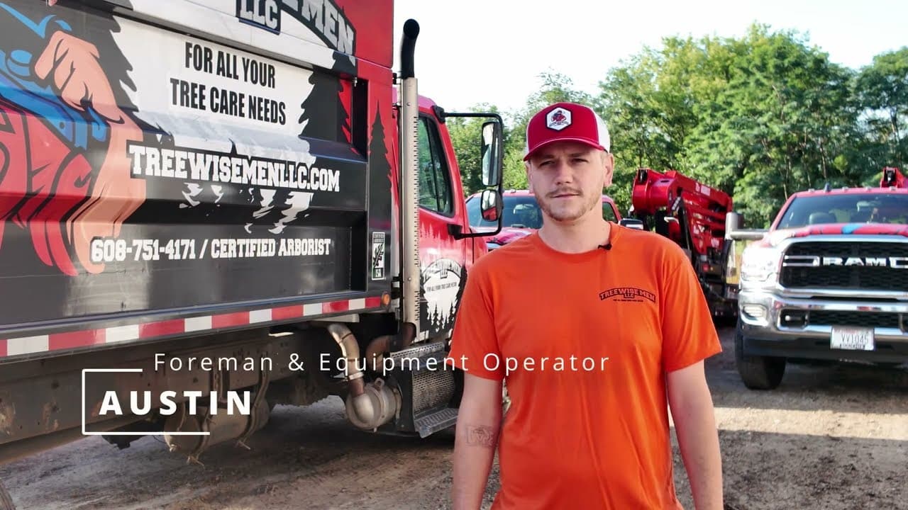 Employee Spotlight — Austin, Tree Wise Men LLC