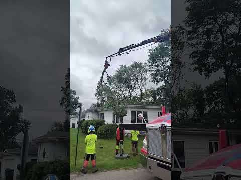 Storm damage in Beloit WI — Emergency Tree Service