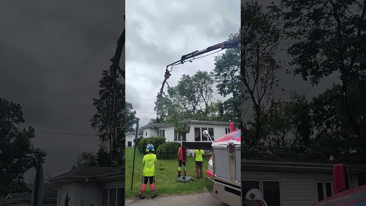 Storm damage in Beloit WI — Emergency Tree Service