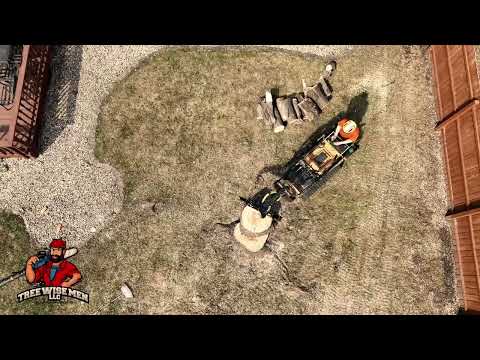 Wind vs Crane Crew — Huge Willow Tree Removal in Wisconsin