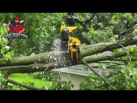 Safe Tree Removal From a Home After Storm — Tree Wise Men