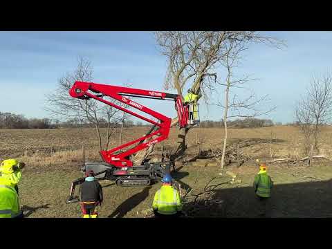 Spider Lift Tree Work in Beloit, WI — Tree Wise Men LLC