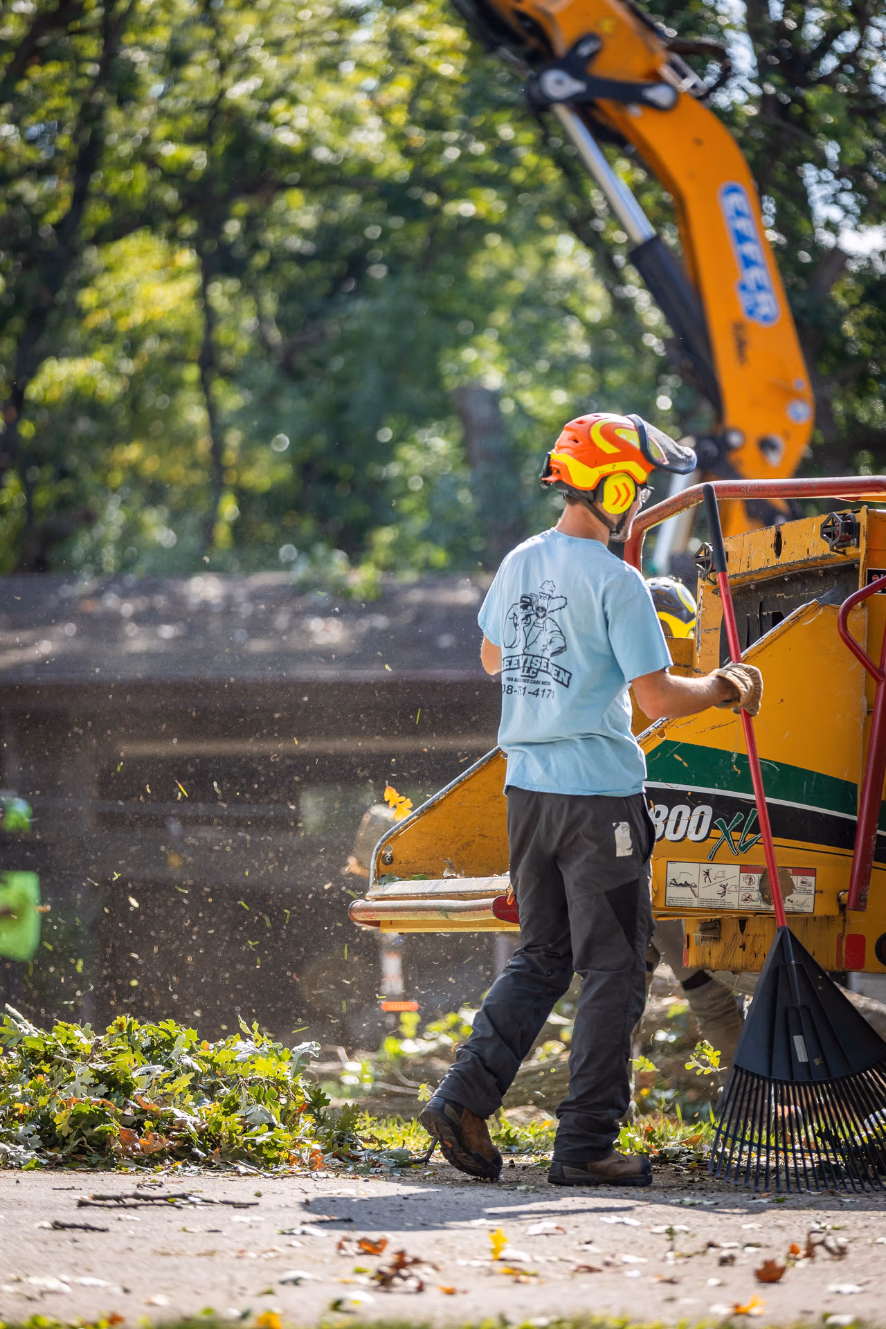 Tree Wise Men crew member in full safety gear feeding the chipper
