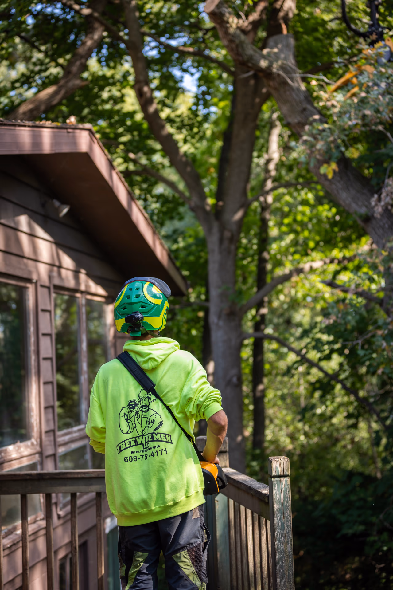 Arborist in safety gear on a Southern Wisconsin job site