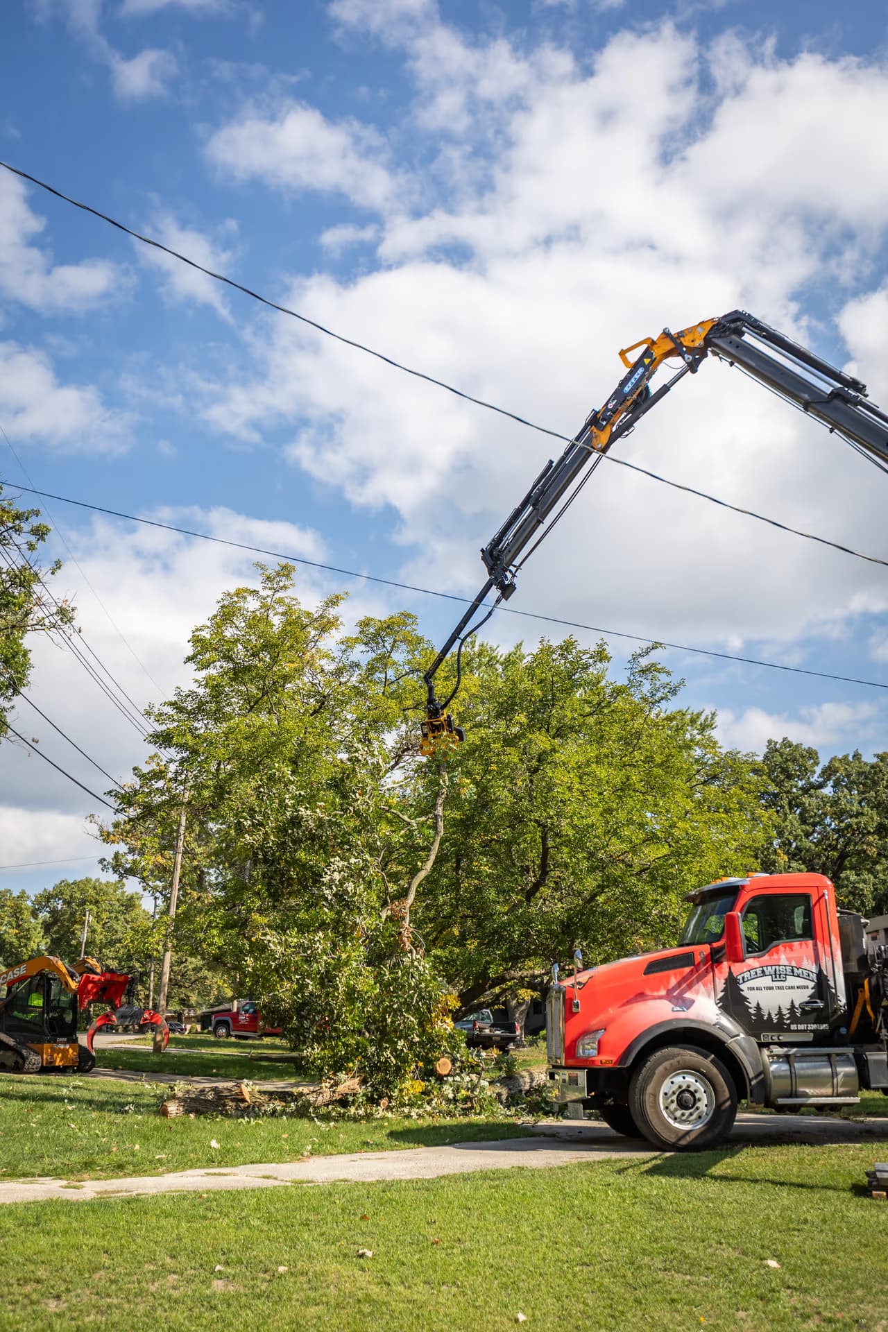 Boom truck positioned to prune a tall tree near overhead power lines