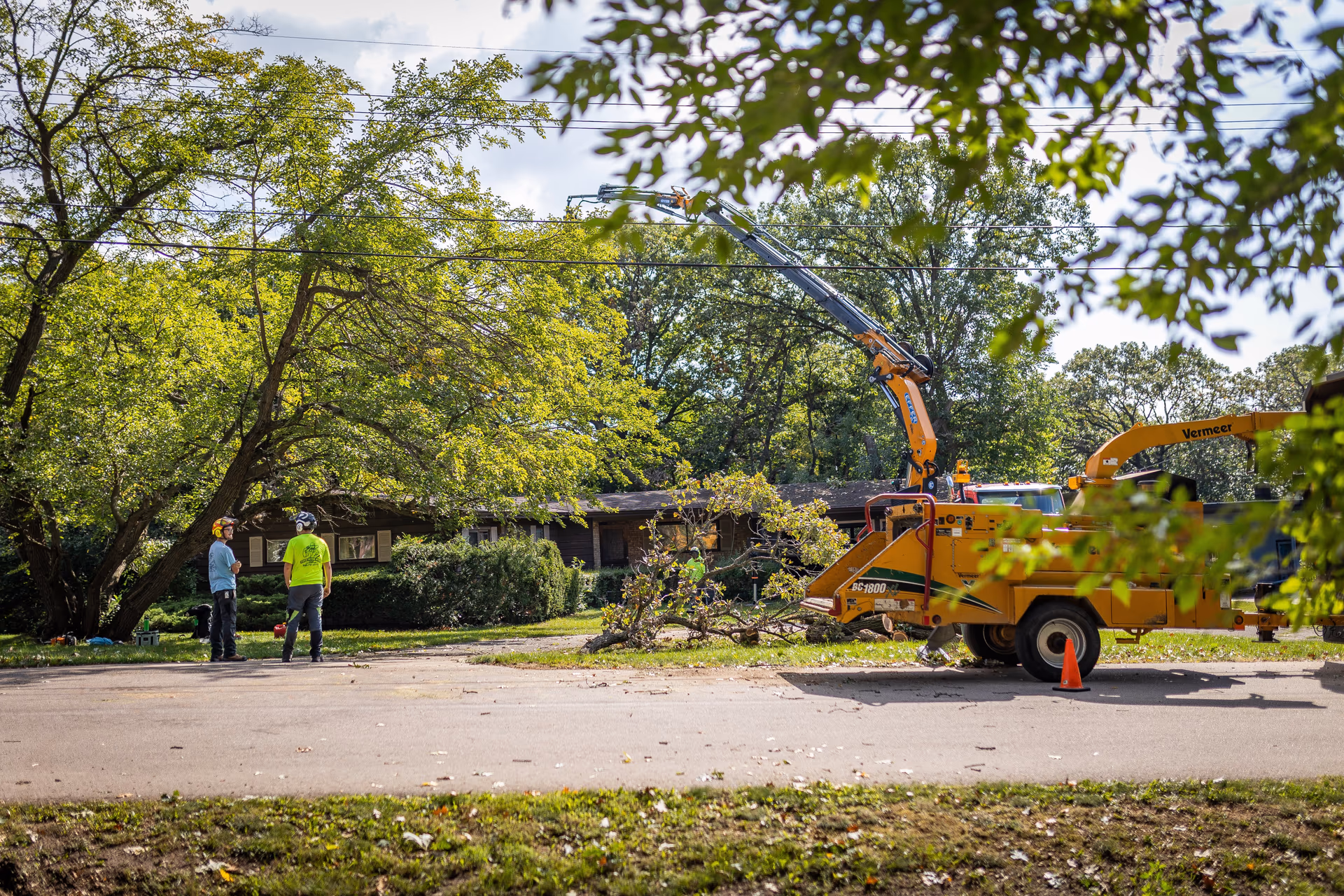 Tree Wise Men crane and chipper crew working a commercial property