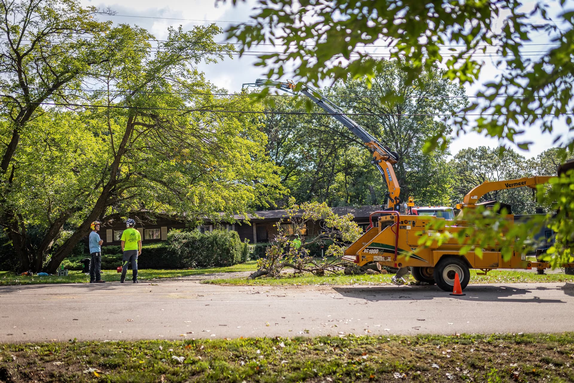 Tree Wise Men crane and chipper crew working a commercial property