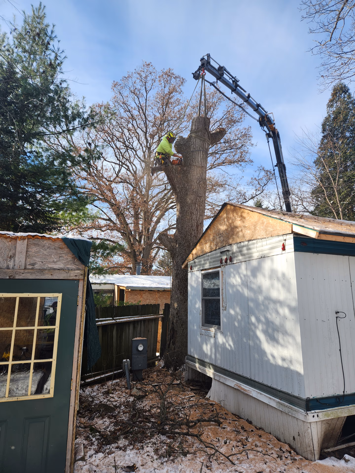 Does Homeowners Insurance Cover Tree Removal? A Wisconsin Guide