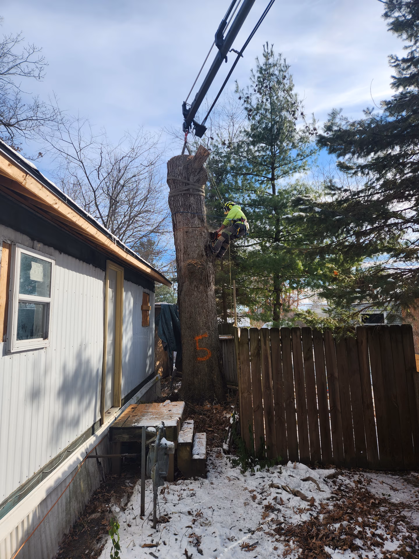 Crane lifting a trunk section clear of nearby structures during a tree removal in Dane County