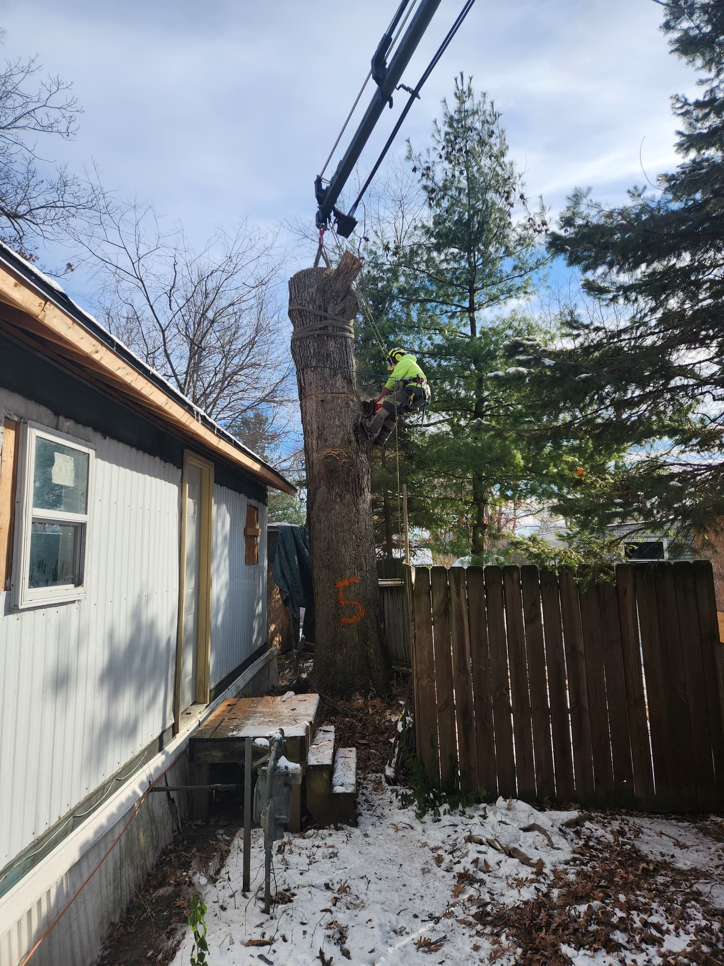 Crane lifting a trunk section clear of structures during a Madison-area removal
