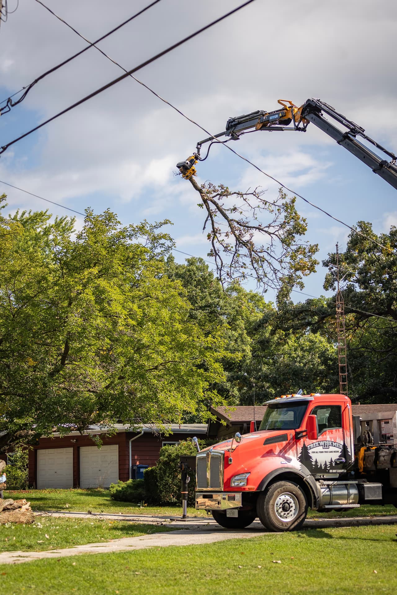 Crane lowering a cut tree section to the ground during a residential removal