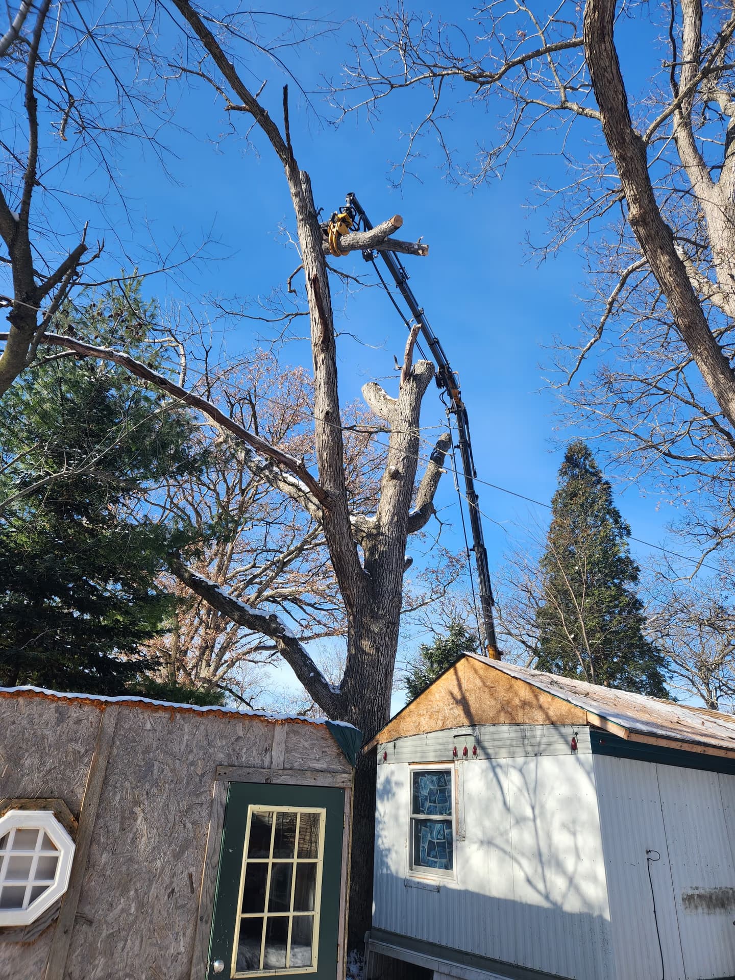 Crane lowering a large limb over a roof during a residential tree removal