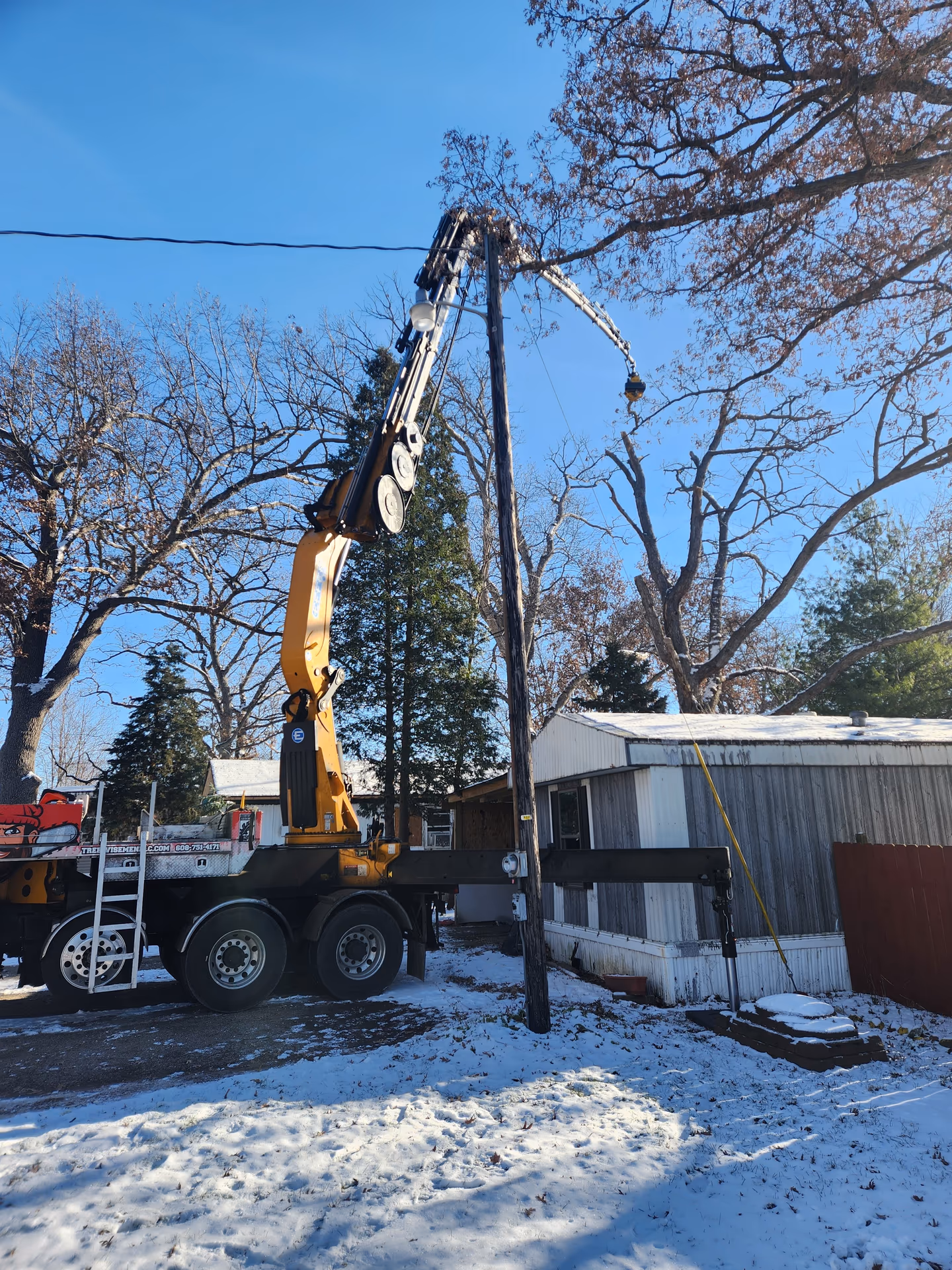 Crane removing a dead oak beside a home for an insurance-documented claim