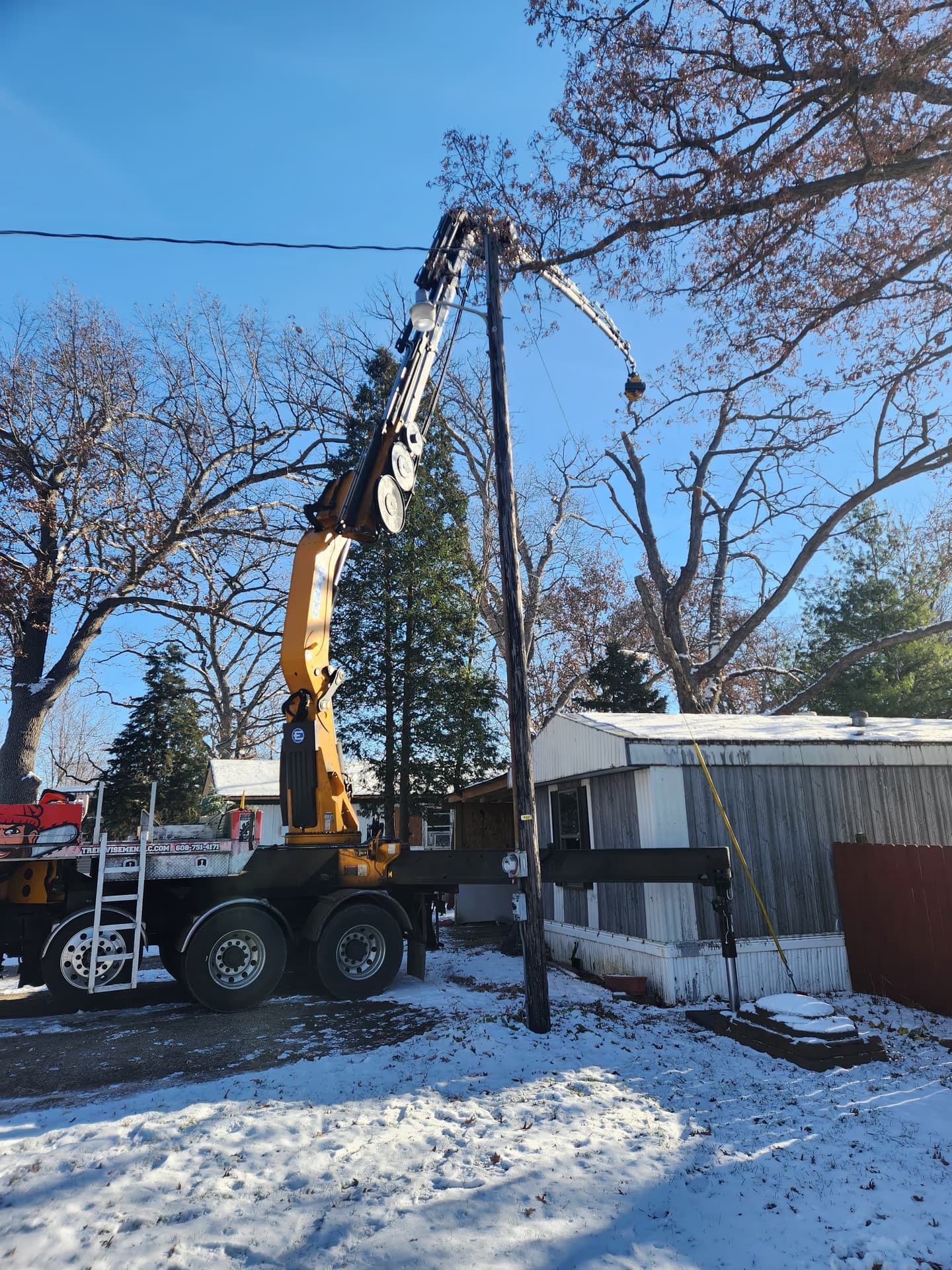 Crane removing a dead oak beside a home for an insurance-documented claim