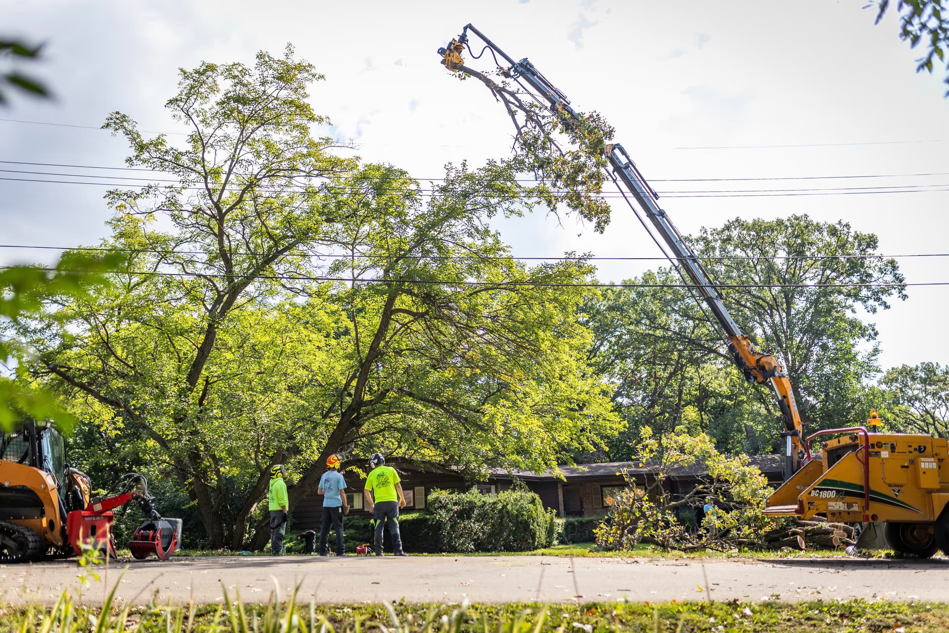 Tree Wise Men crane removing a large-canopy tree on a Southern Wisconsin job site
