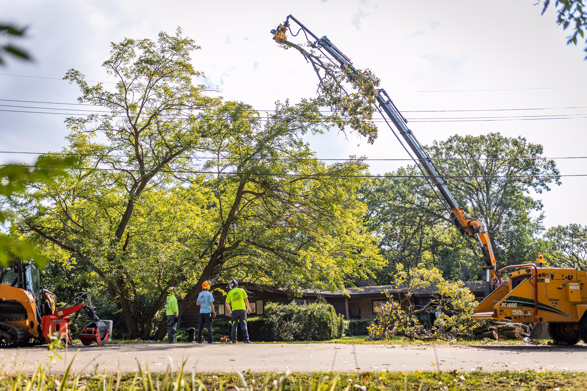 How Much Does Tree Removal Cost in Sun Prairie, WI? (2026 Local Guide)