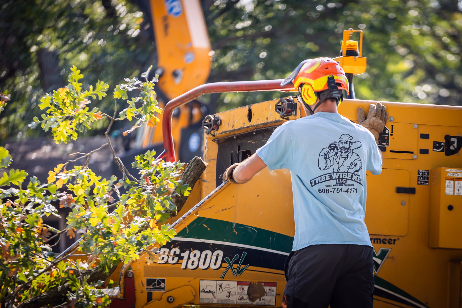 Tree Wise Men crew feeding a large limb into the chipper