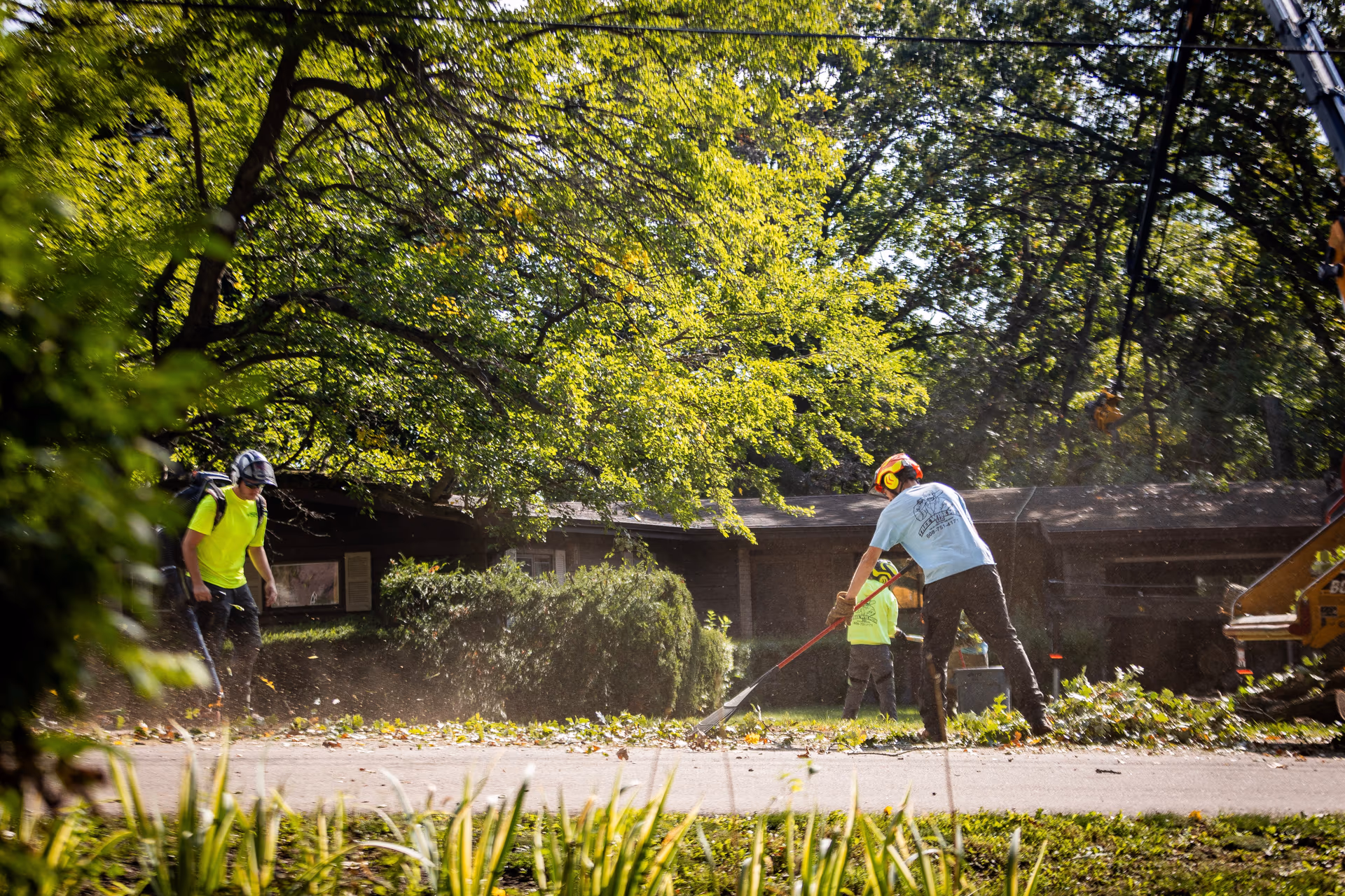 Crew finishing cleanup and restoring the lawn after a tree removal