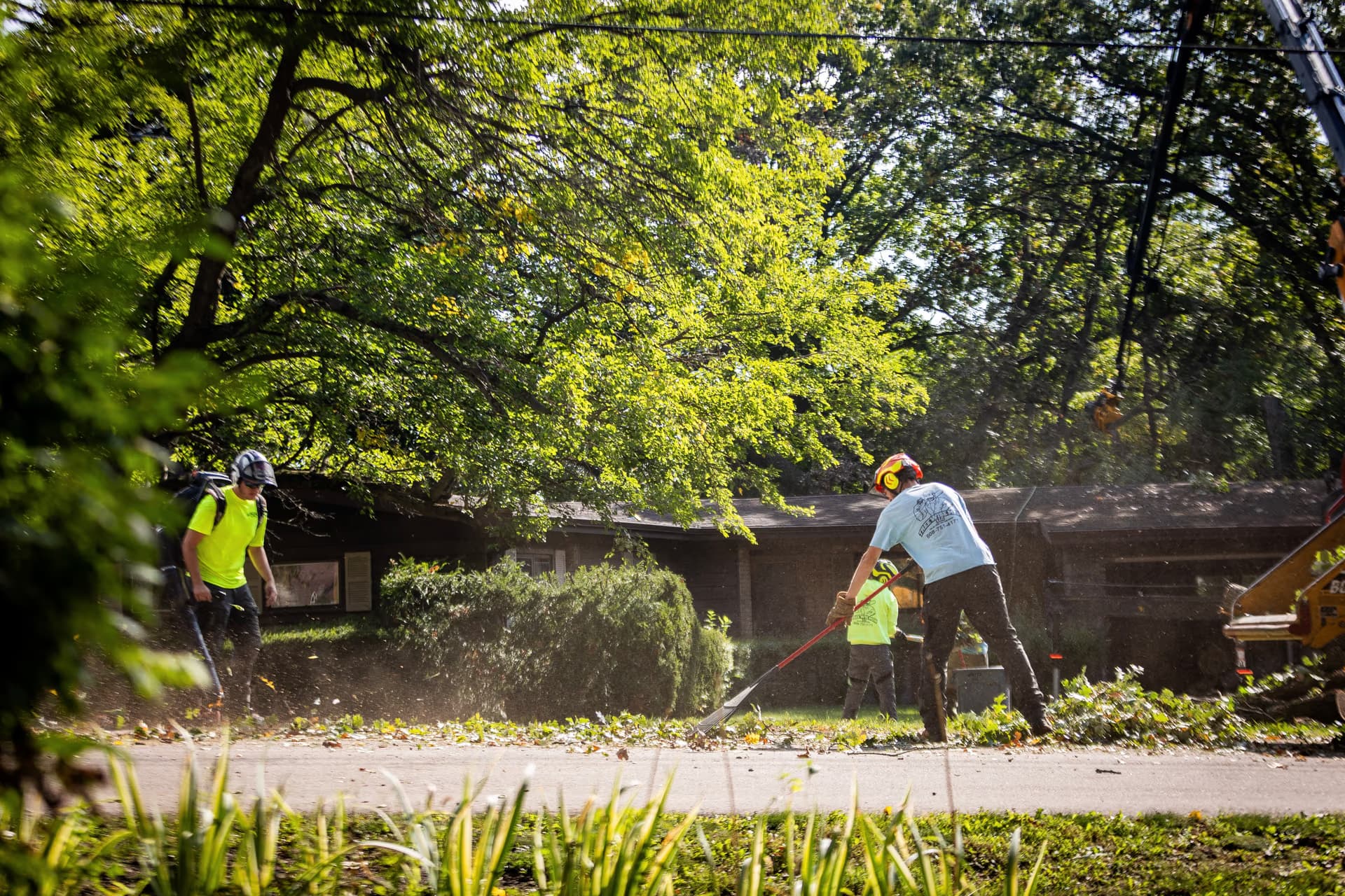 Tree Wise Men crew completing final cleanup after a removal