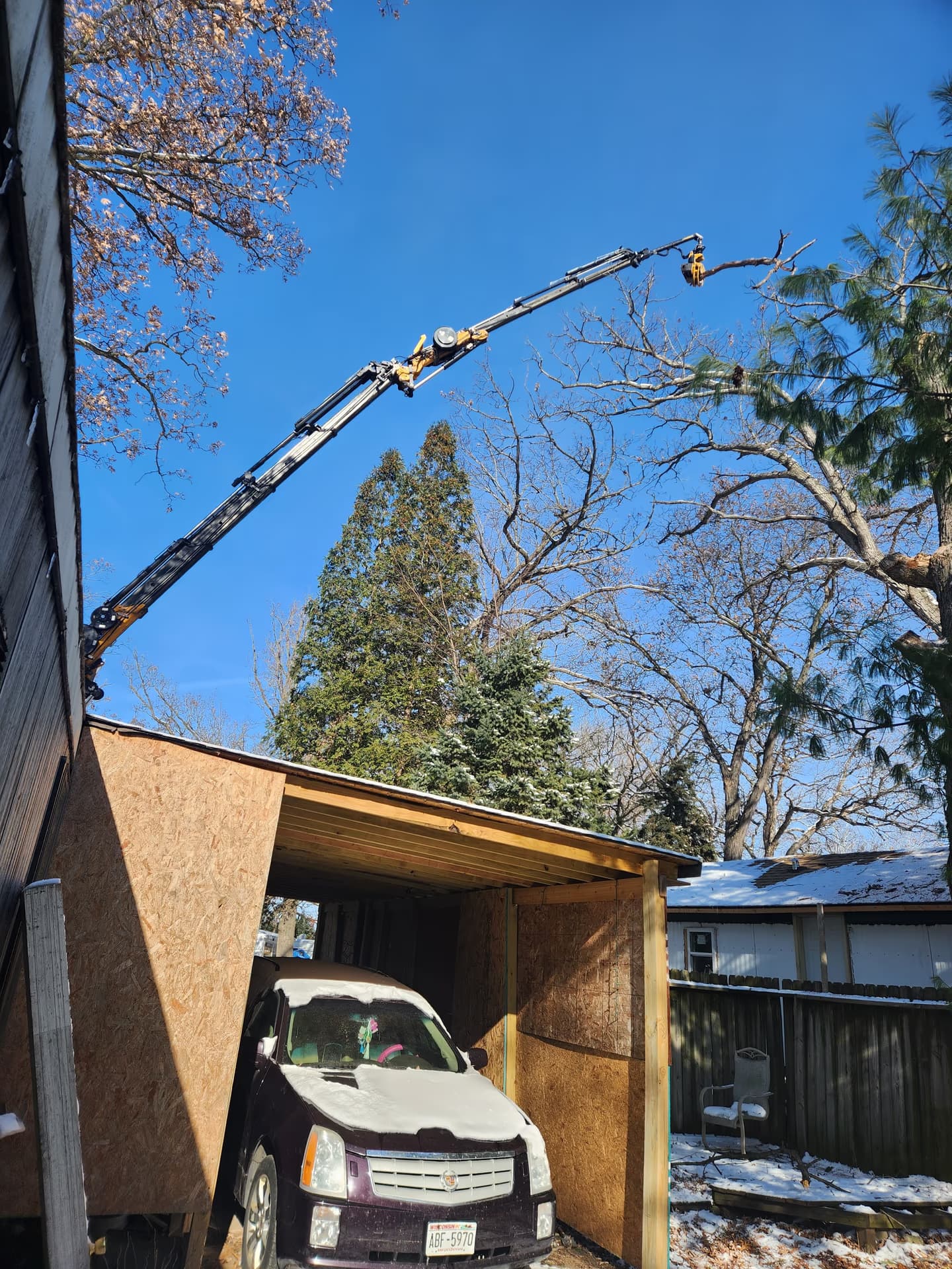 Crane-assisted removal of a large dead oak trunk