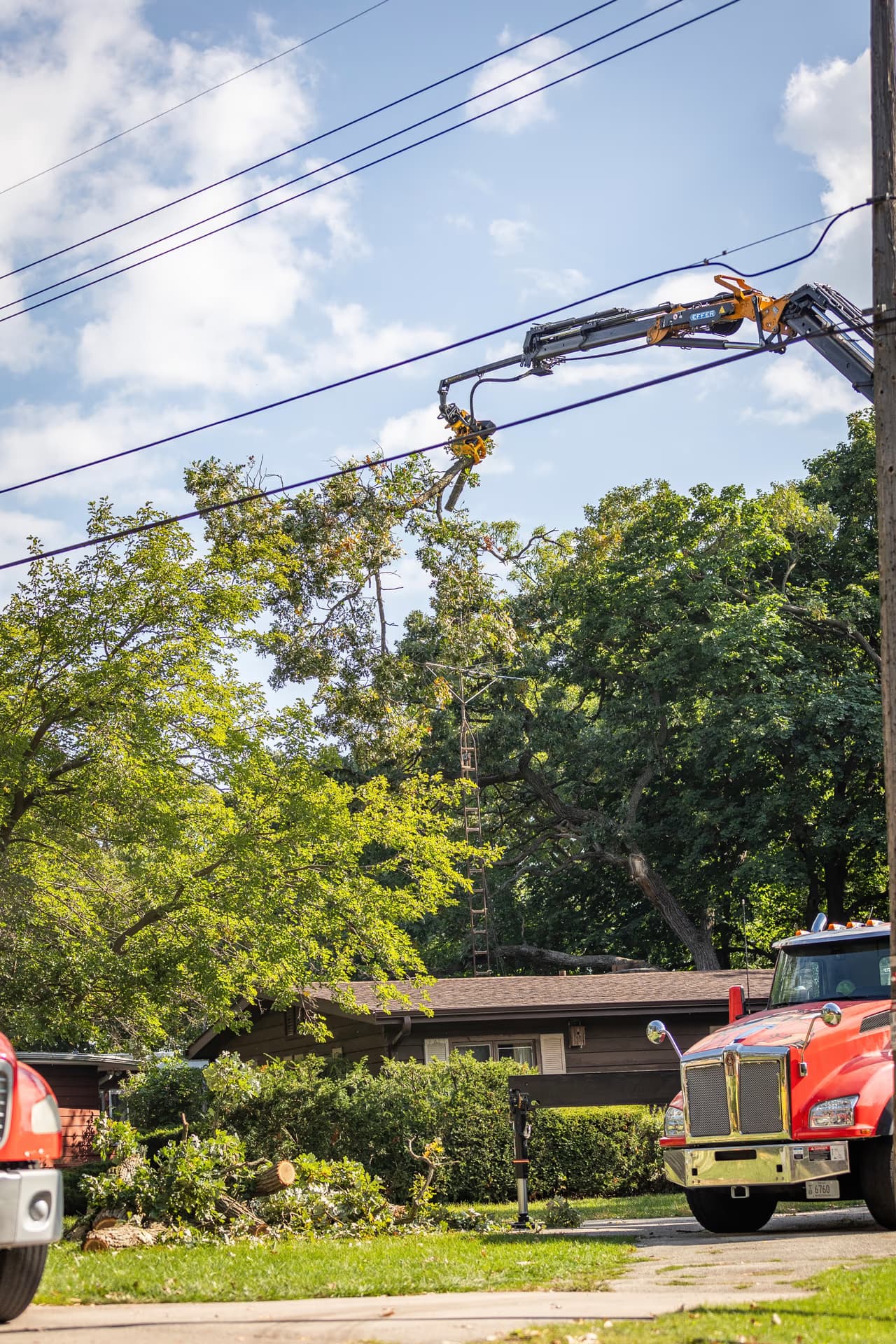 Grapple saw boom reaching into a tree canopy for crown reduction