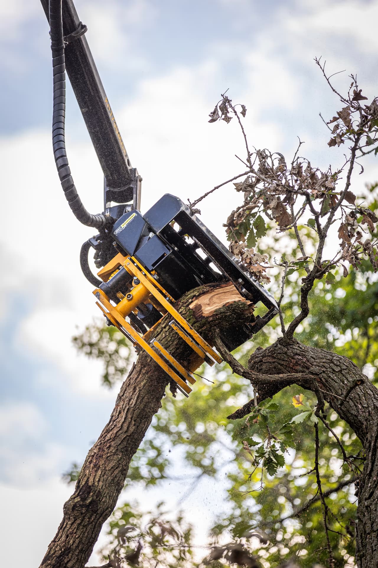 Grapple saw cutting an overhead limb during pruning work