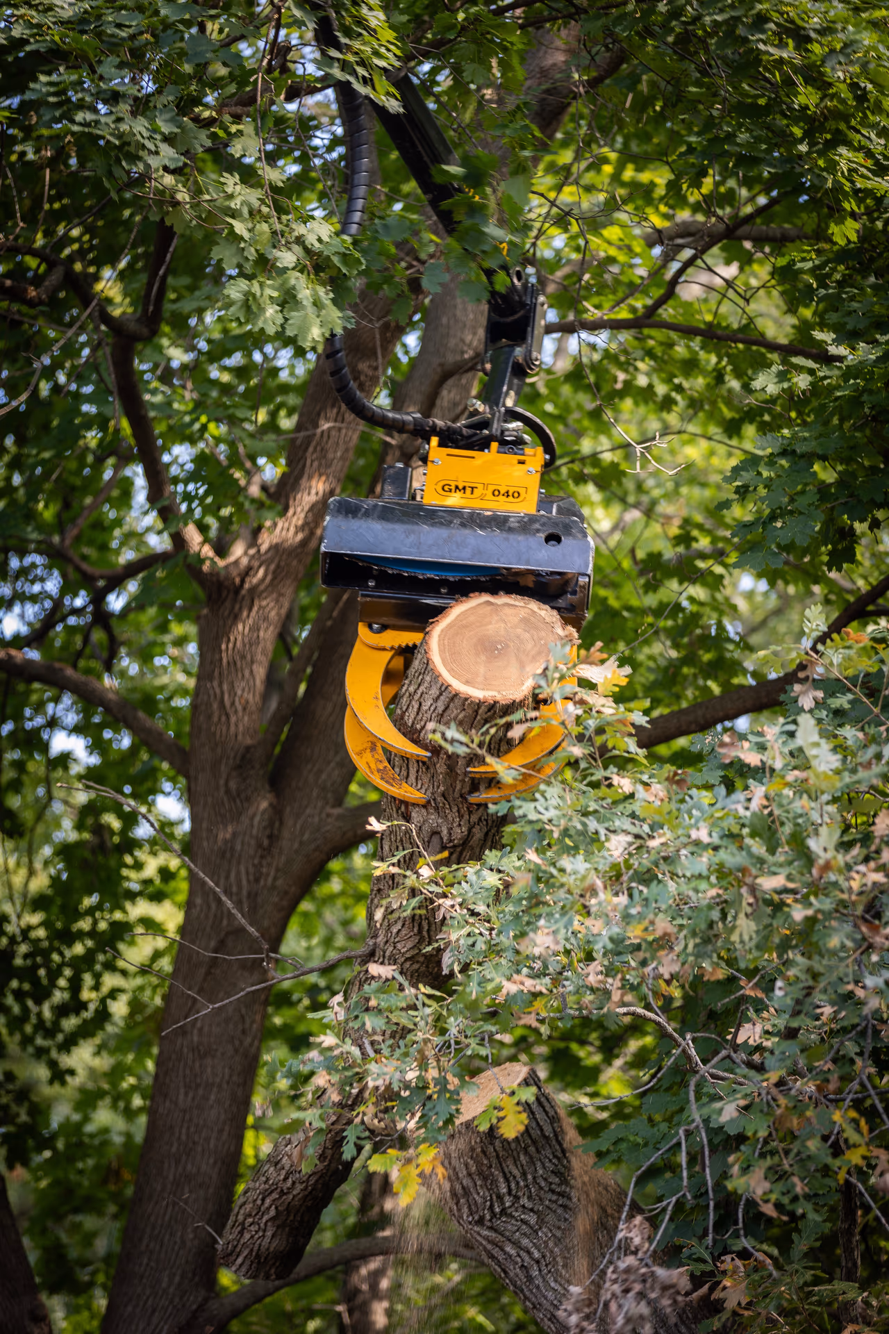 Grapple saw cutting a trunk section during Madison-area tree work