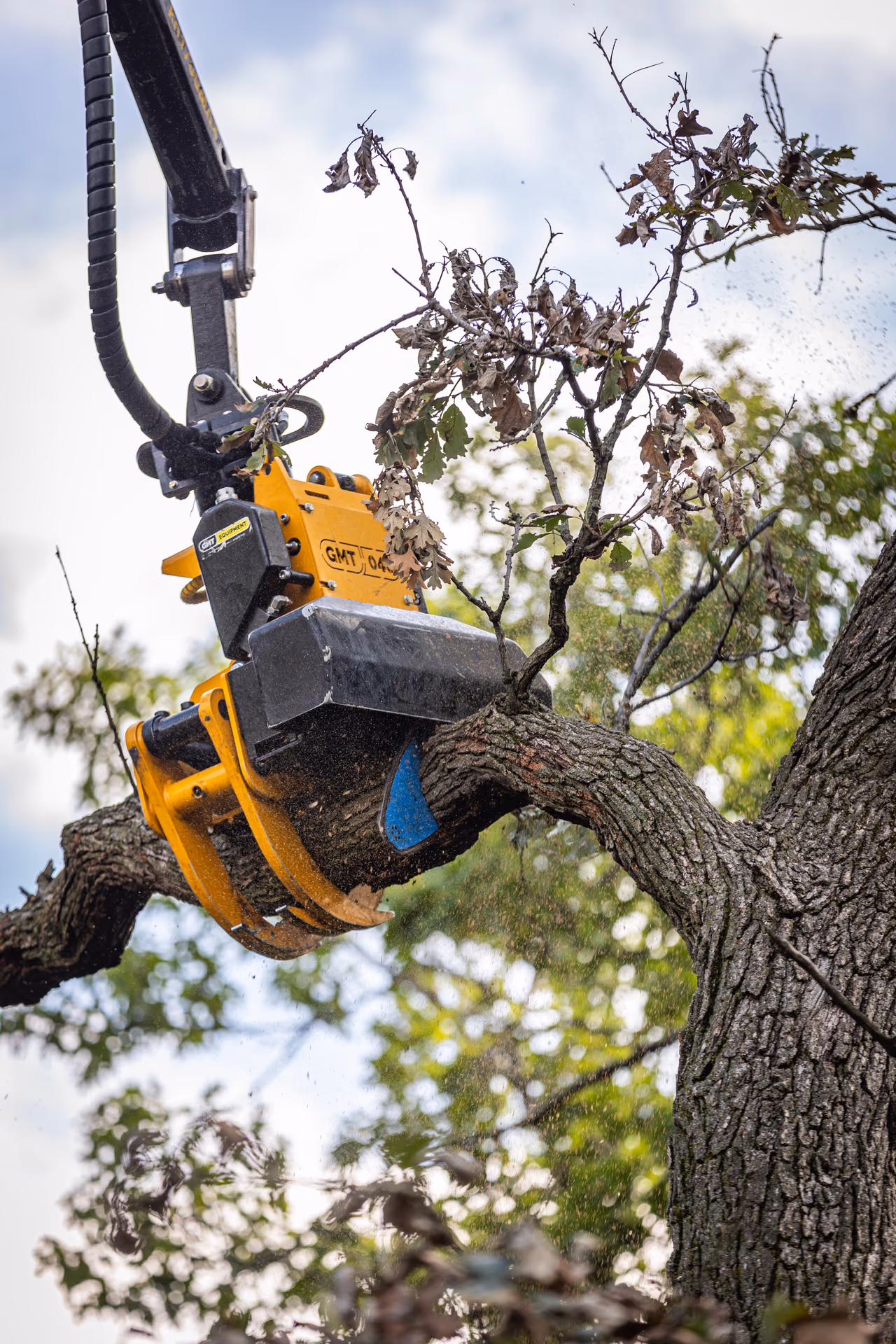 Grapple saw gripping a large limb during pruning in Southern Wisconsin