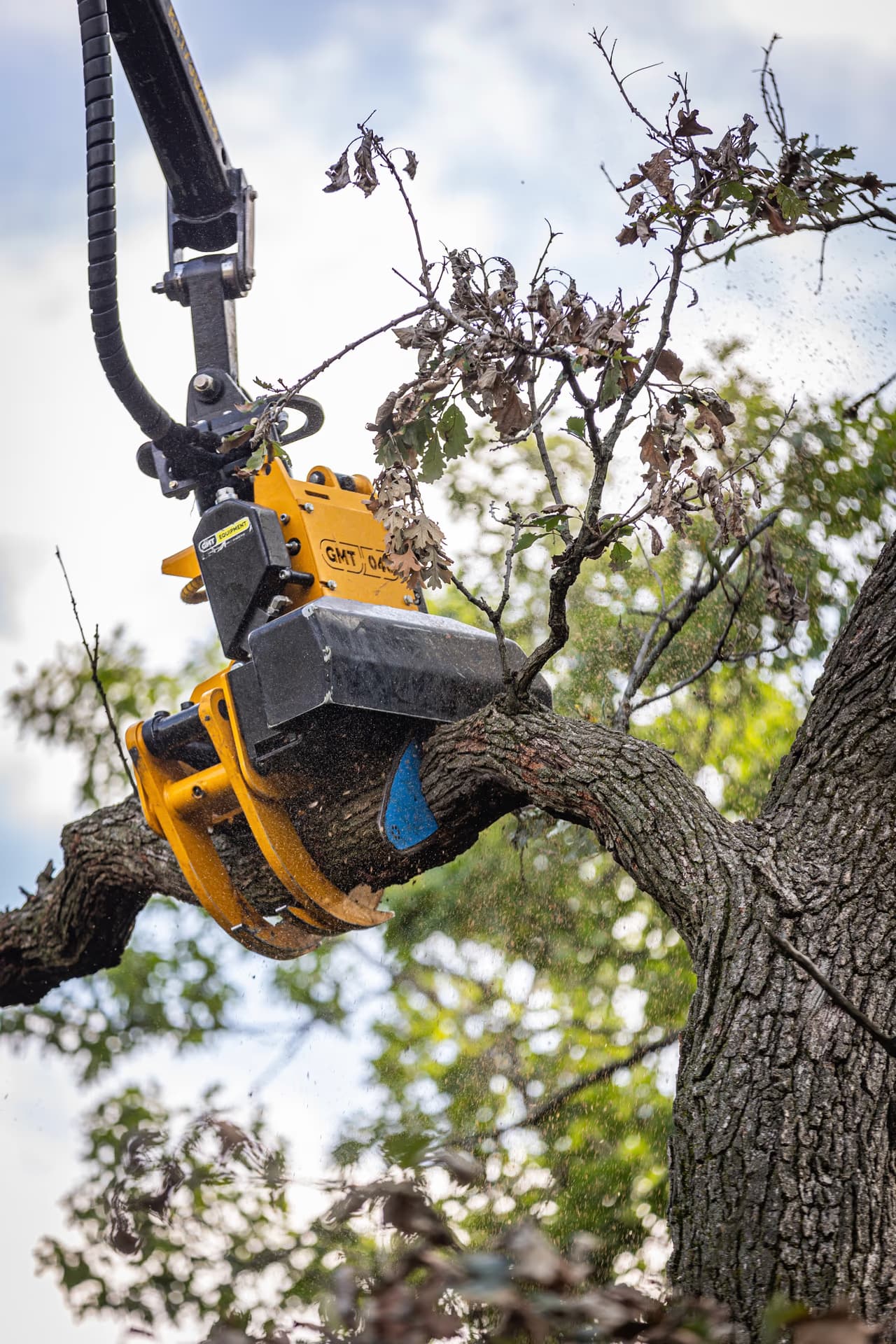 Grapple saw gripping a large limb during pruning in Southern Wisconsin