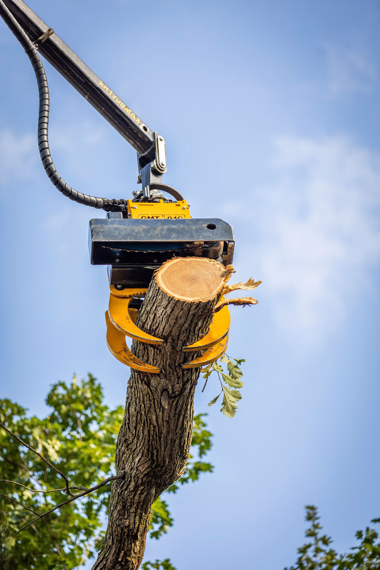 Grapple saw holding a cut trunk section mid-air during a technical tree removal