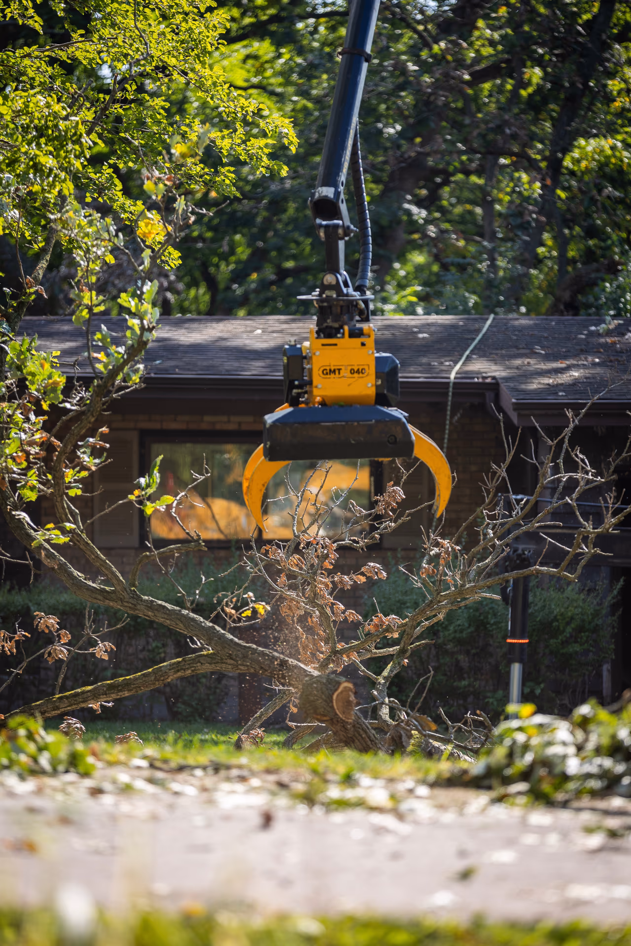 Grapple saw holding a dead branch above a roofline during deadwood removal