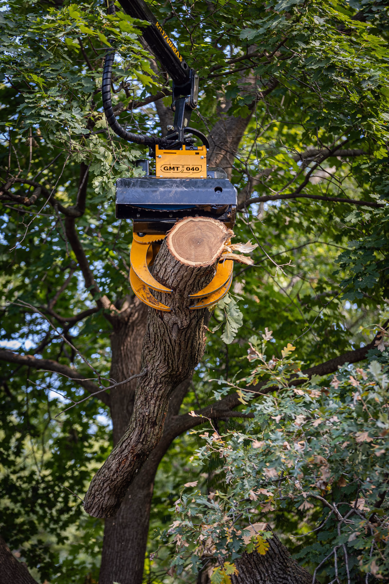 Grapple saw holding a cut trunk section during crown reduction work