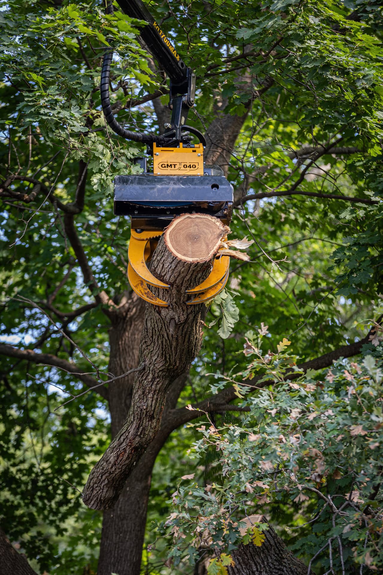 Grapple saw holding a cut trunk section during crown reduction work