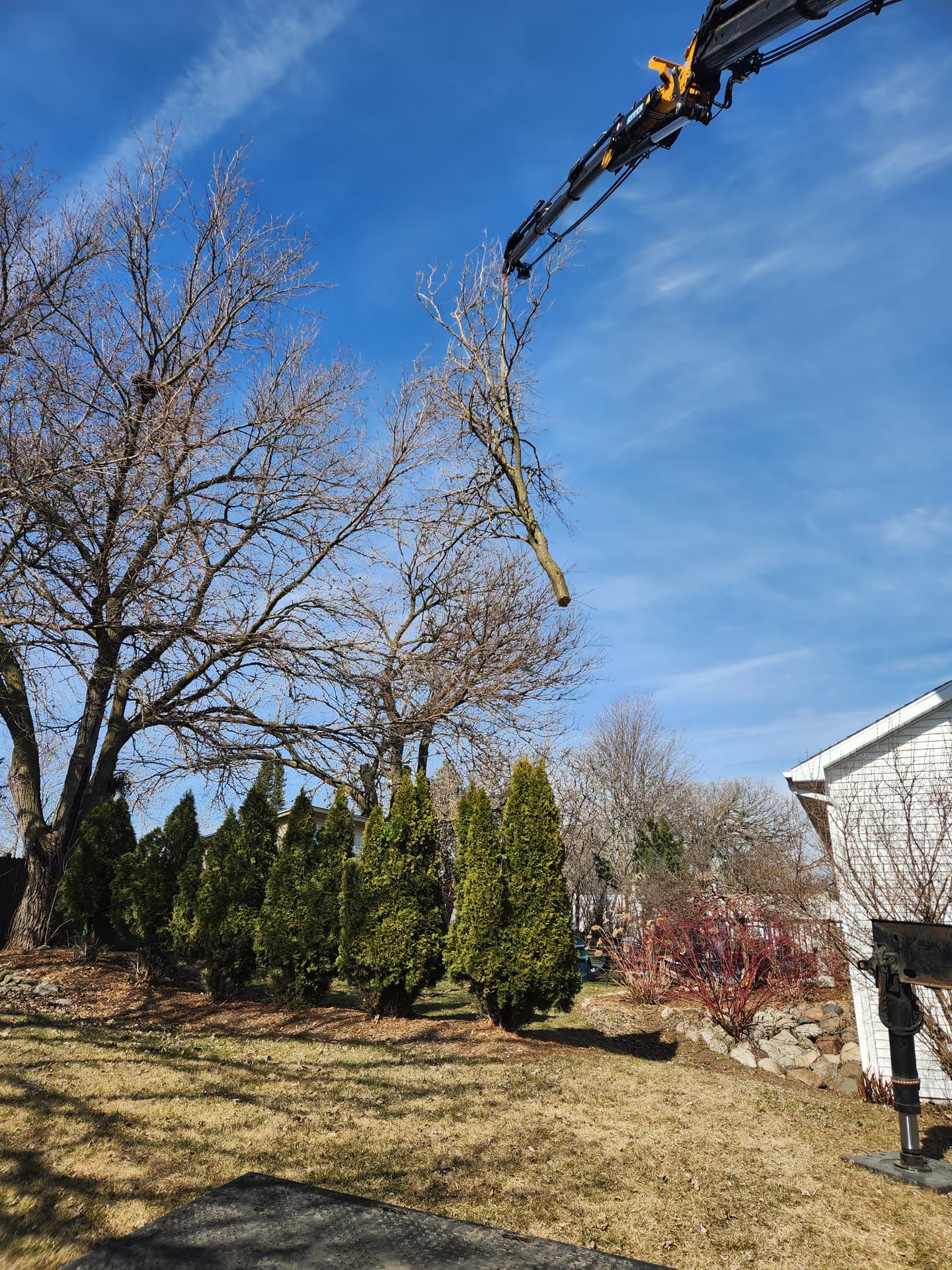 Grapple saw removing limbs from a mature tree in Jefferson County, Wisconsin