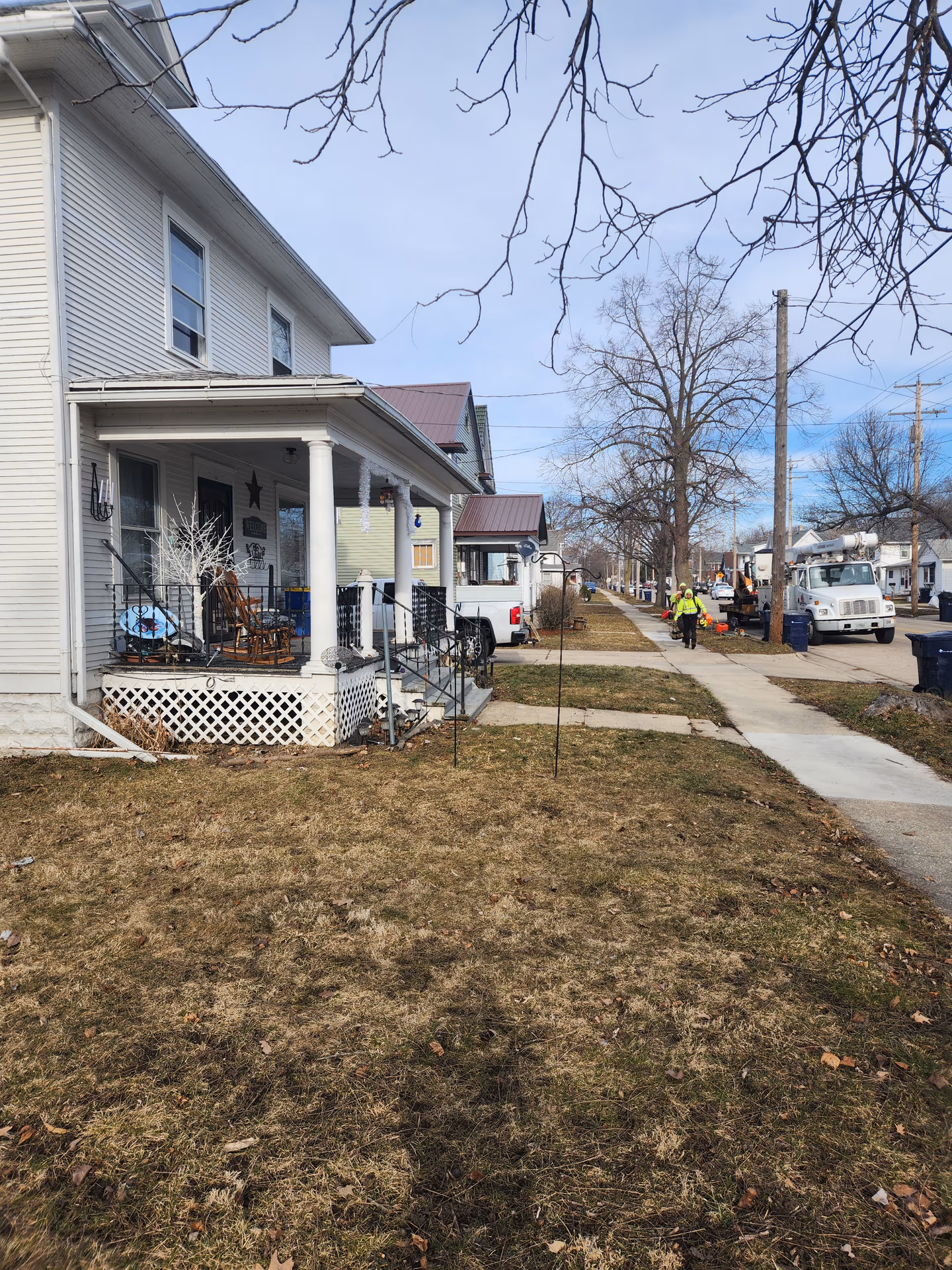 Large tree removal in a Janesville, Wisconsin backyard