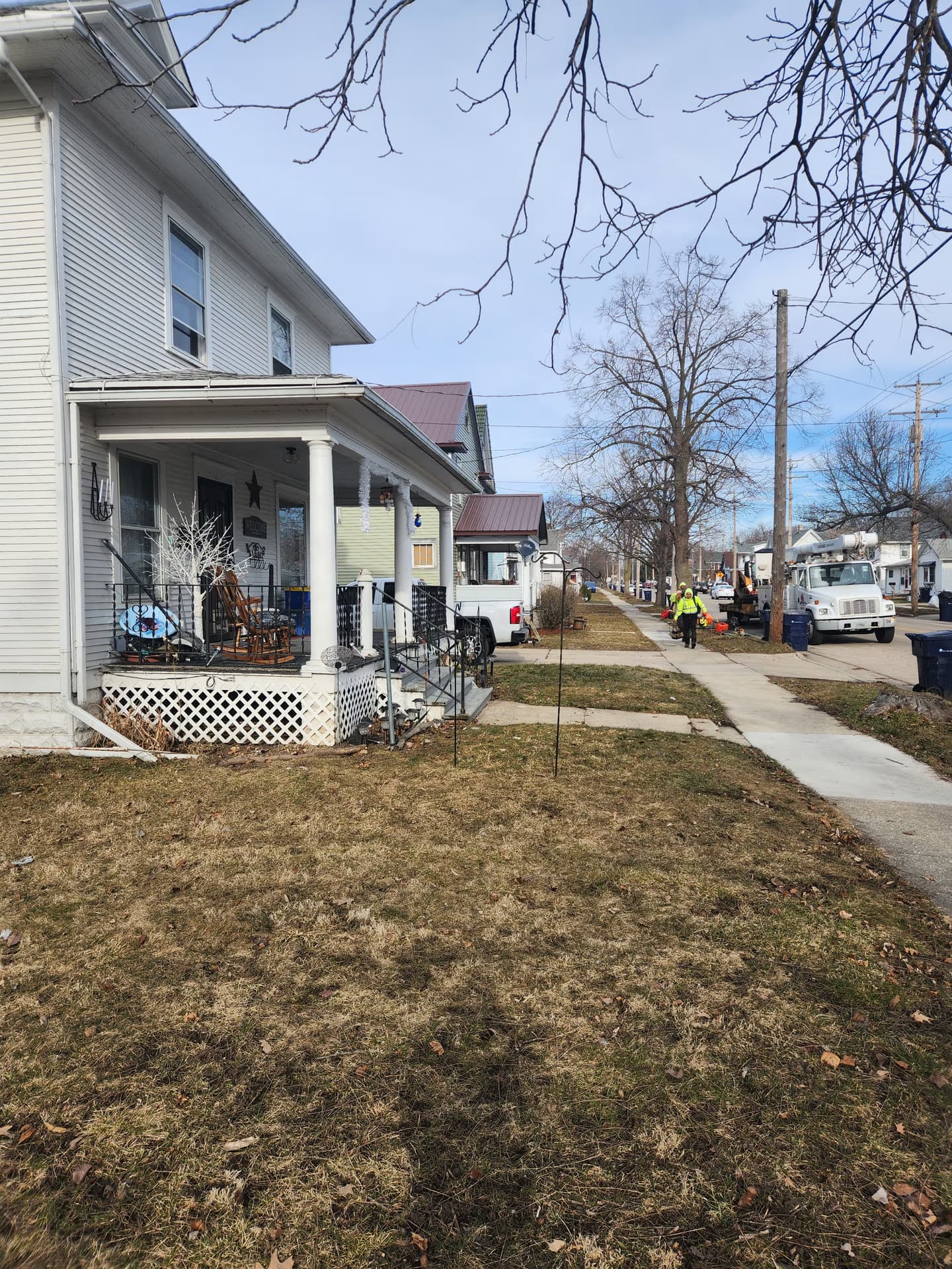Large tree removal in a Janesville, Wisconsin backyard