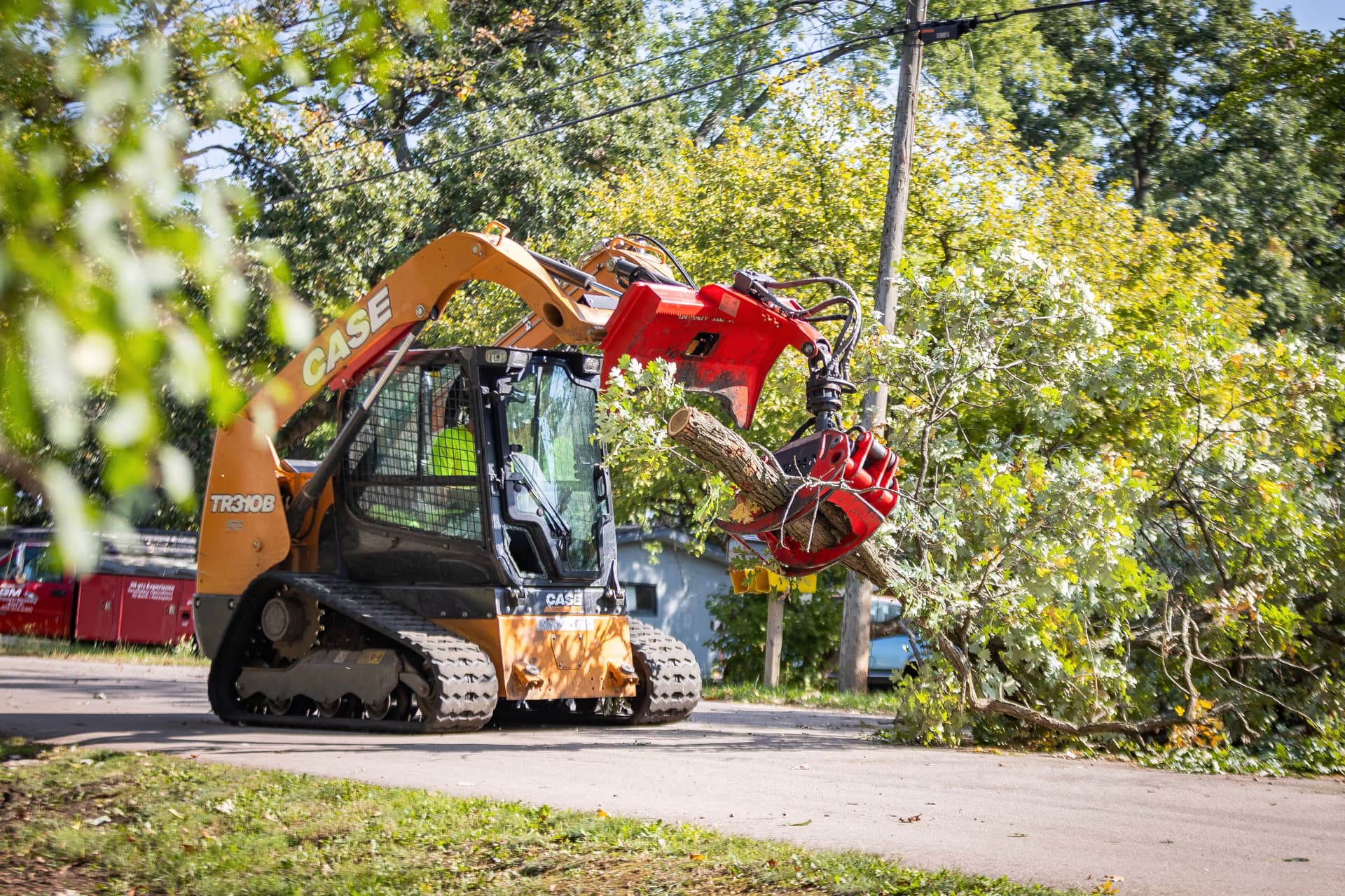 Skid Steer Moving Cut Logs