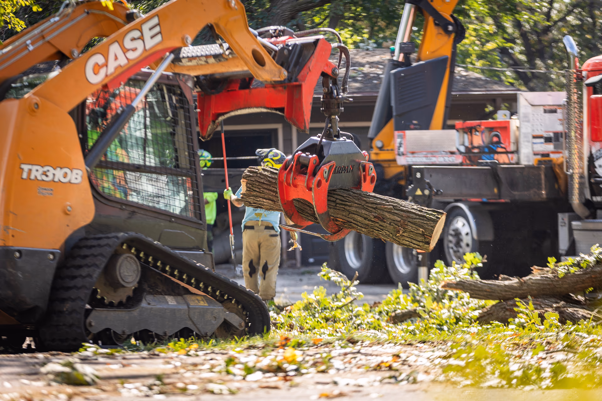Skid steer loading cut logs into a Tree Wise Men truck after a removal