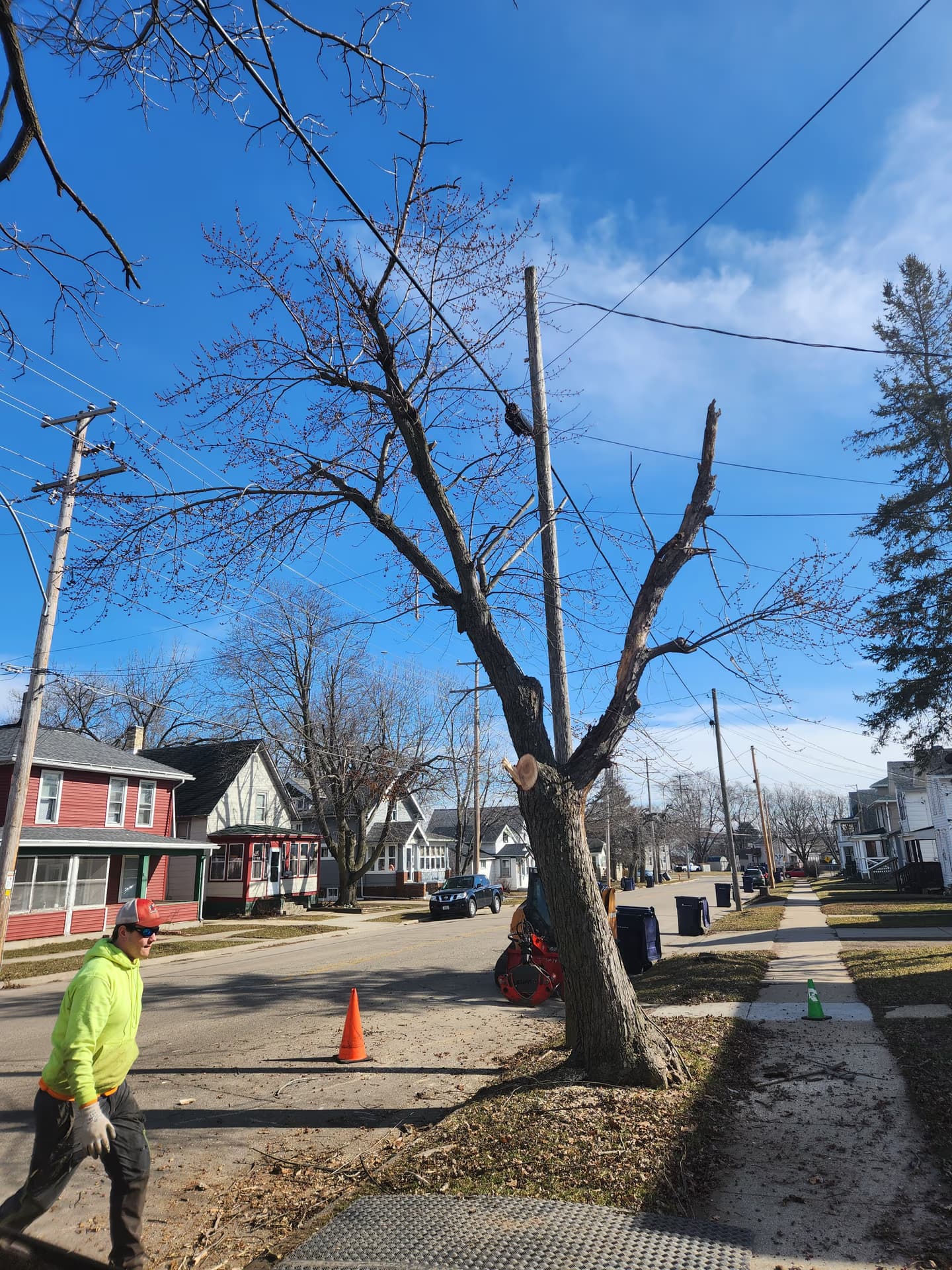 Tree Wise Men crew removing a storm-damaged street tree in Janesville, Wisconsin