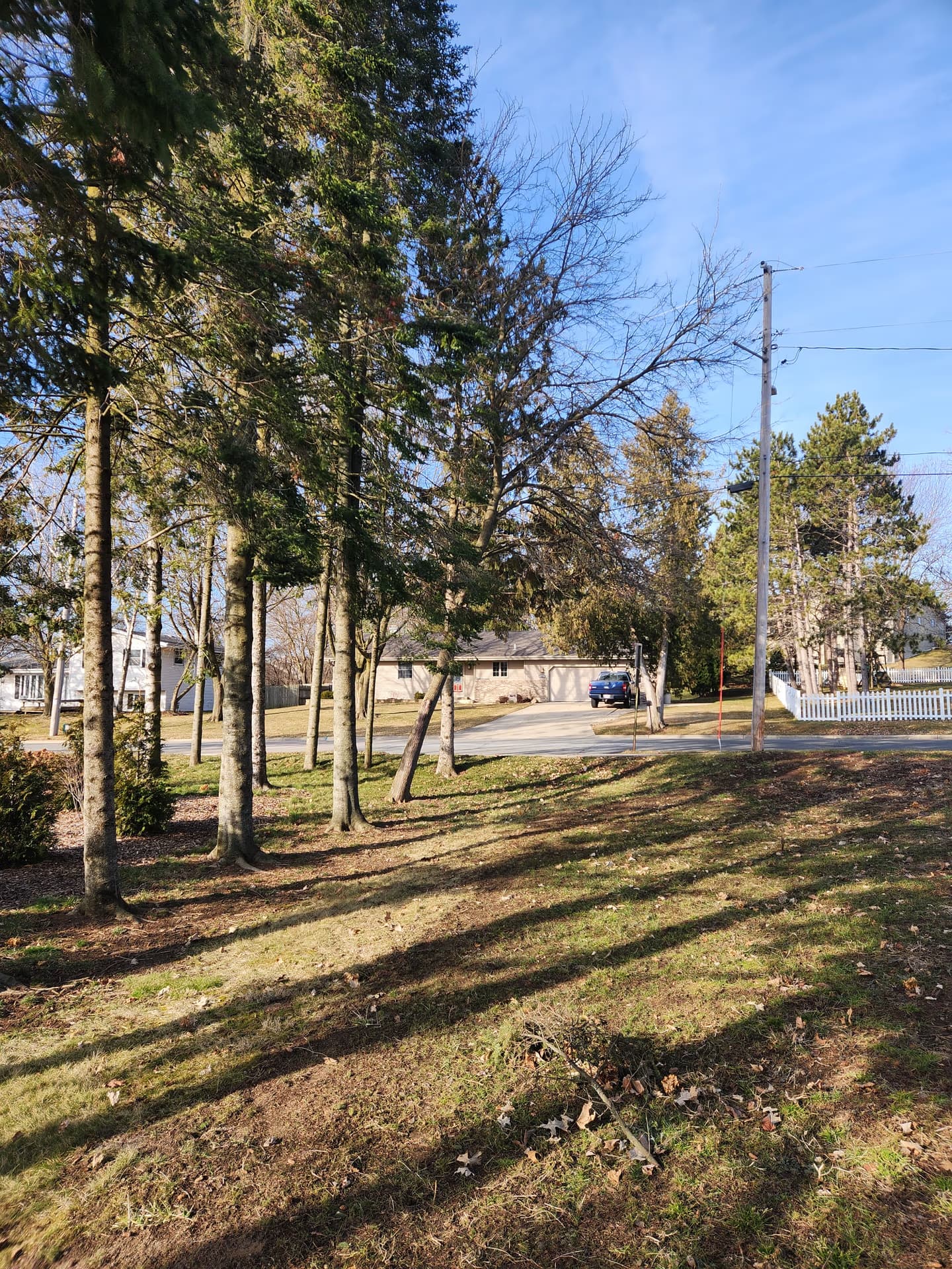 Tree Wise Men crew removing a street tree on Campus Street in Milton, Wisconsin