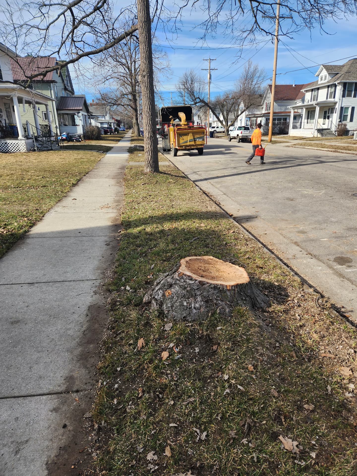 Cleanup and stump work after a residential tree removal