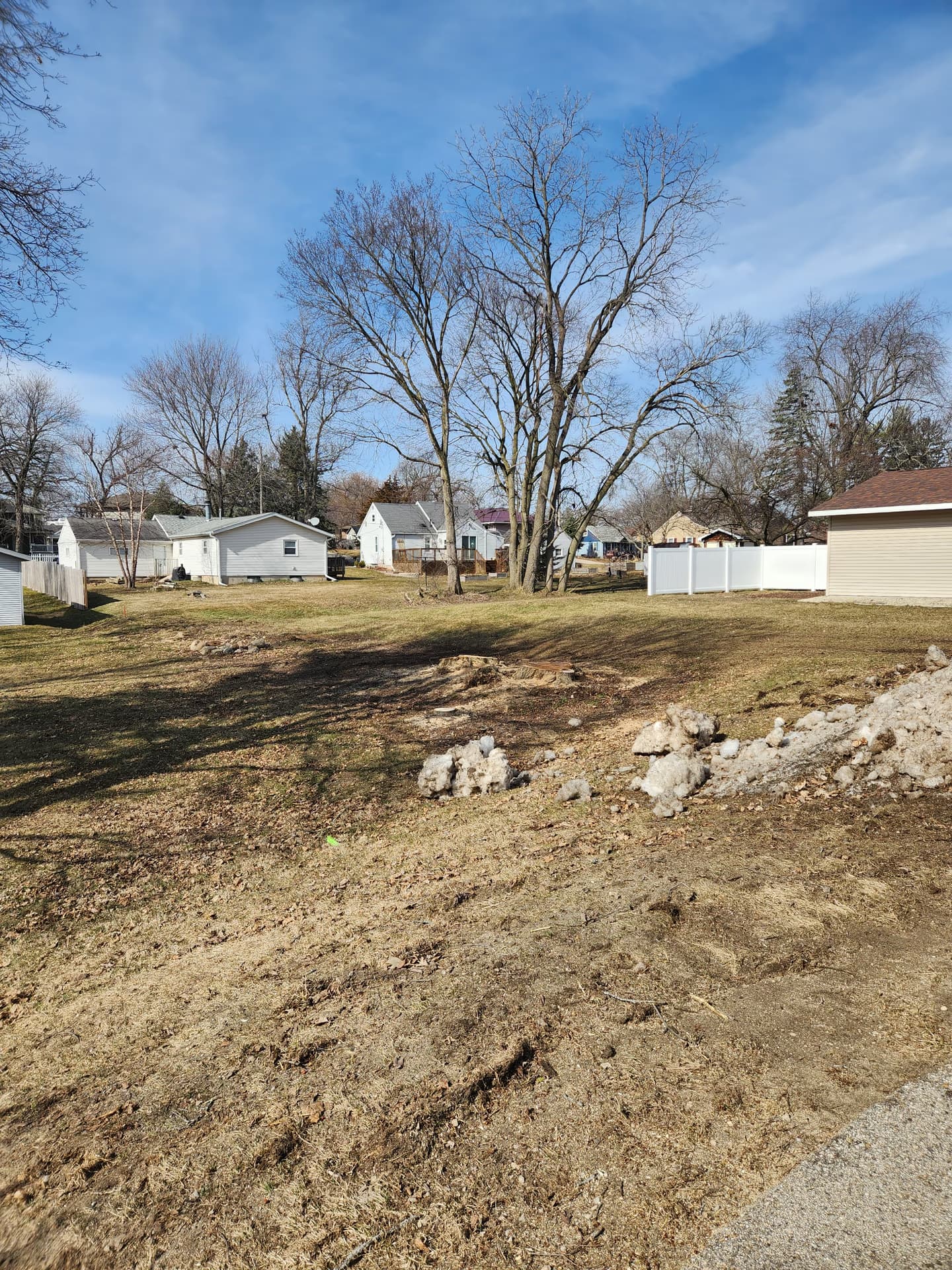 Tree removal in a residential yard in Milton, Wisconsin